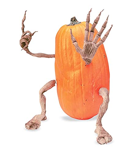 Plow & Hearth Set of 4 Bendable Pumpkin Arms and Legs | Twisting Vines for Halloween Pumpkin Carving DIY Crafts for Kids | Includes 2 arms and 2 Legs | Outdoor & Indoor Halloween Decorations