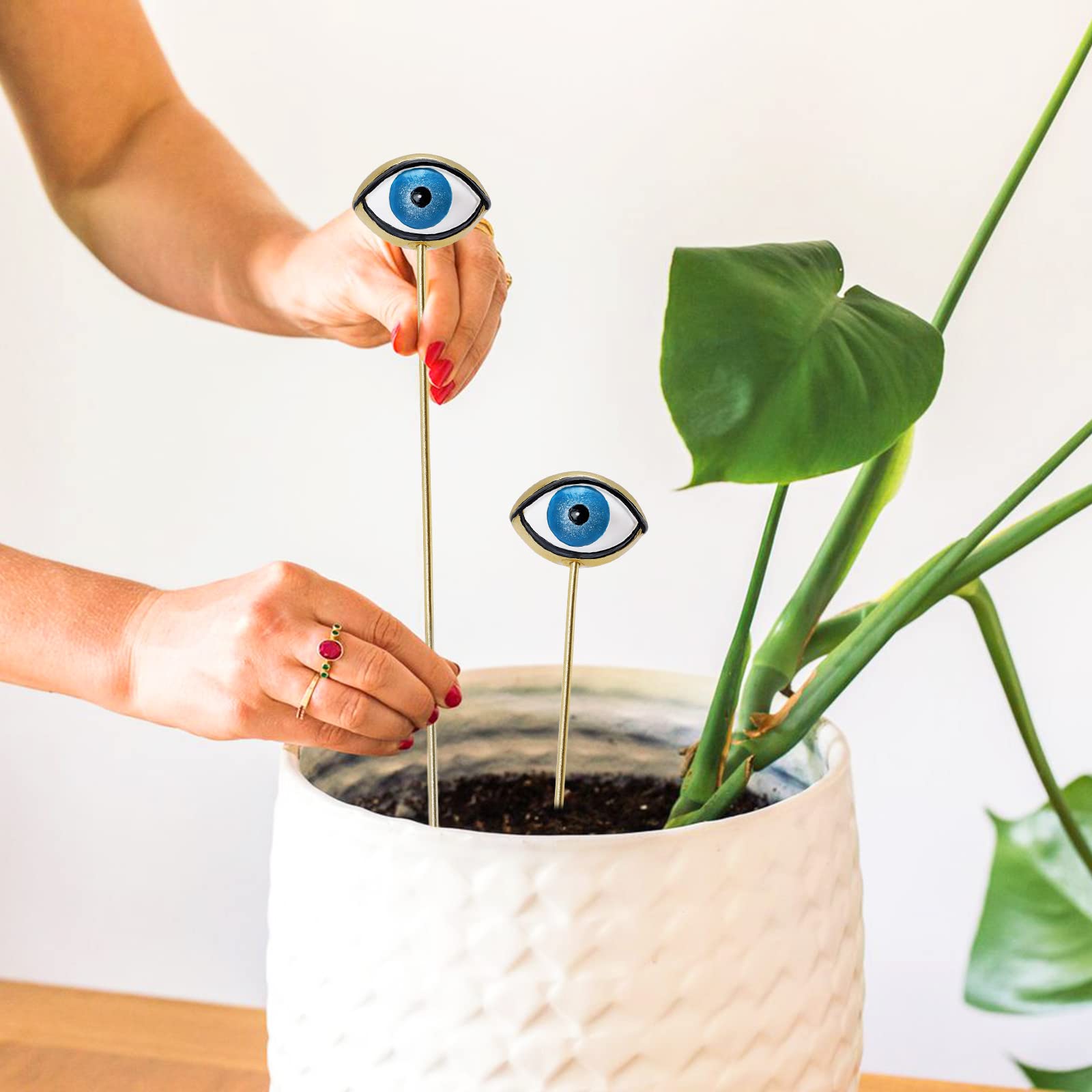 Tuitessine Resin Plant Eyes Stakes Set of 2, Eyeball Garden Plant Accessory, Evil Eye Plant Picks, Indoor Outdoor Plant Pot Decoration, Plant Lover, Plant Mom, Plant Lady Idea