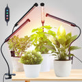 Game Changer! FECiDA 2026 4Pack Clip on Grow Lights for Single Pot Plant