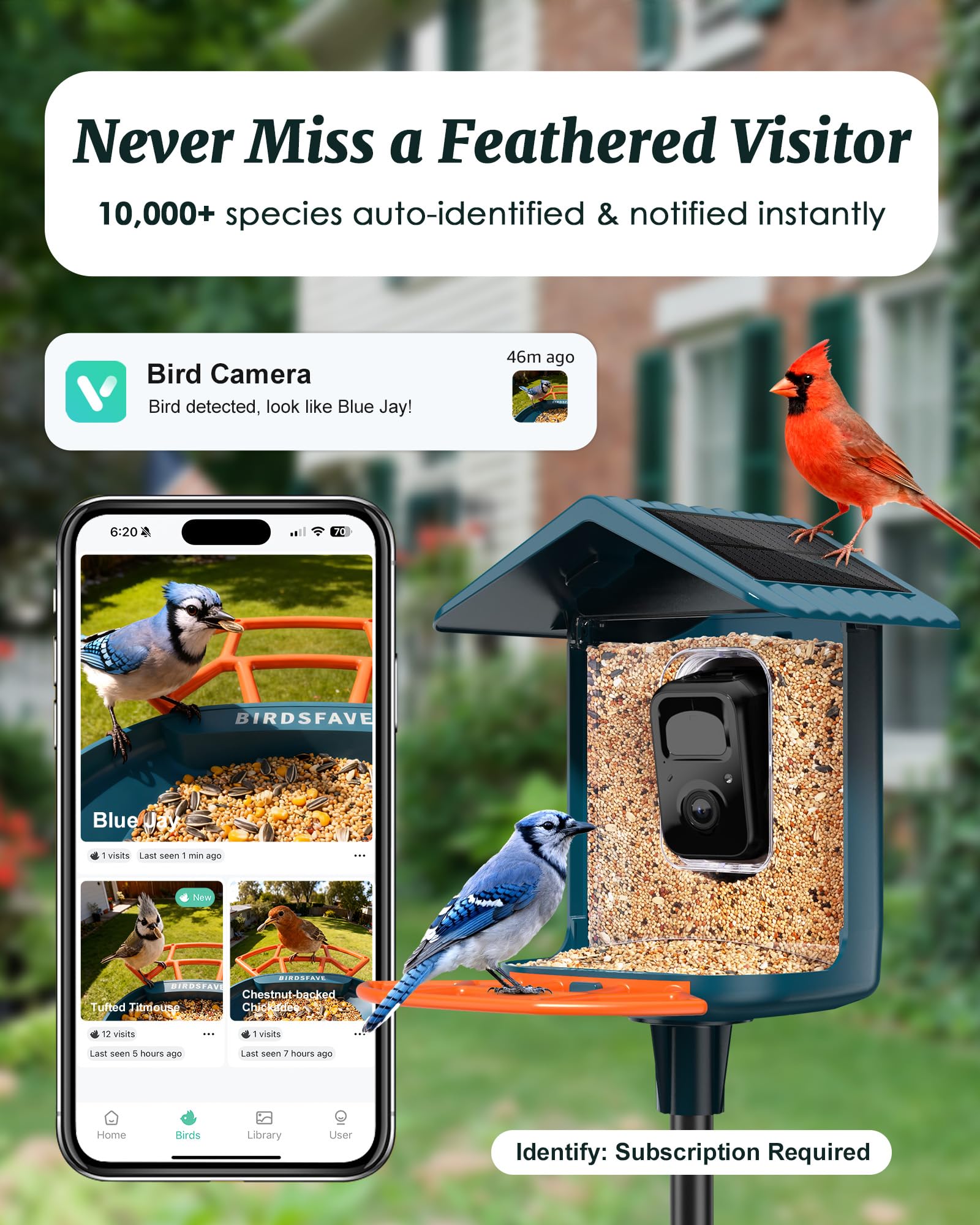 Bird Feeder with Camera Solar Powered 2K Video with 32GB Card Auto Capture