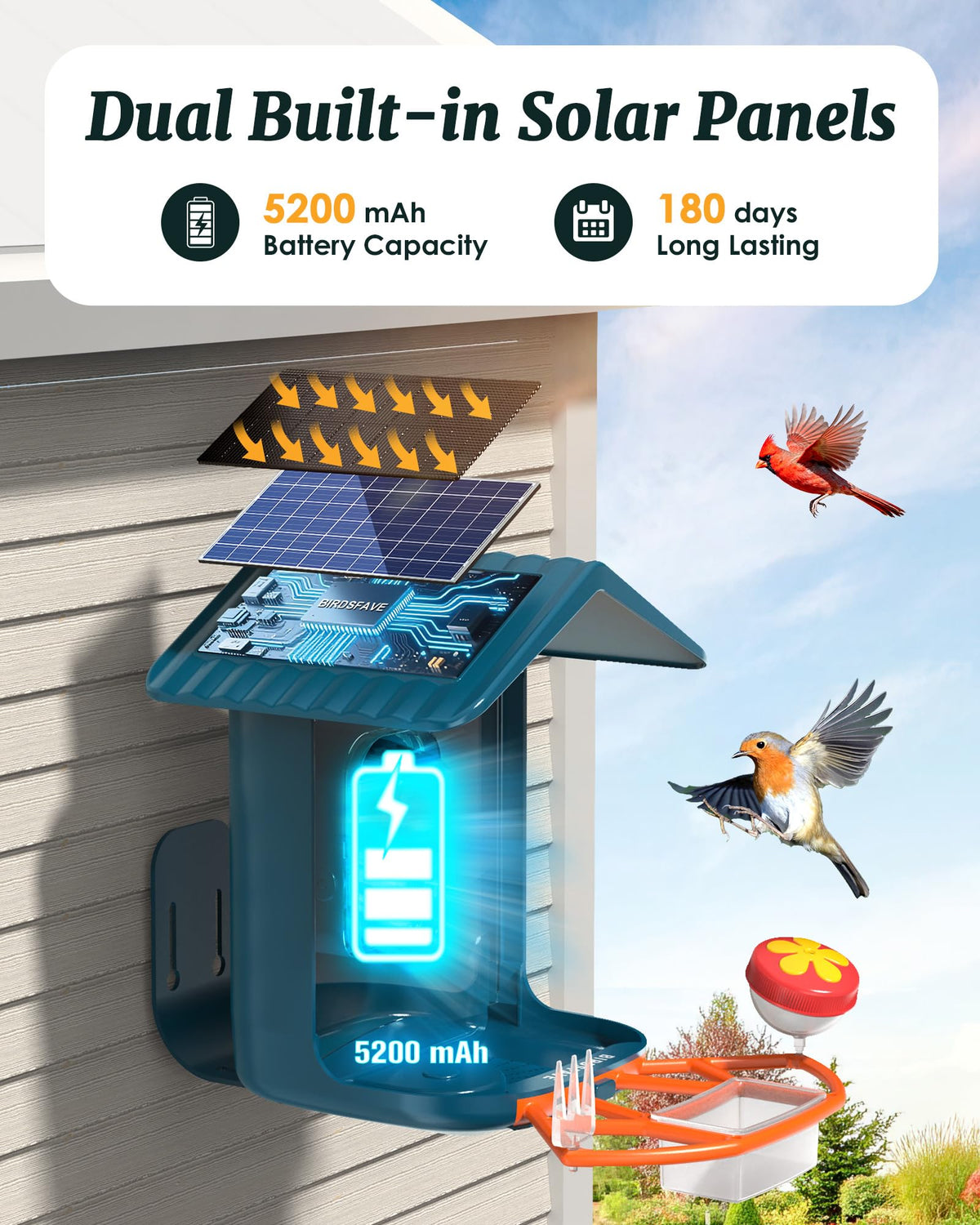 Bird Feeder with Camera Solar Powered 2K Video with 32GB Card Auto Capture